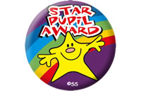 star-pupil-award-badges-591-p